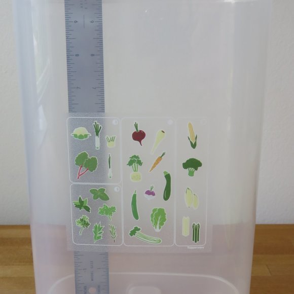 Tupperware Tall Herb Fridgesmart Container - Picture 5 of 6